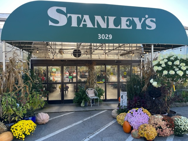 KnoxStanleys1